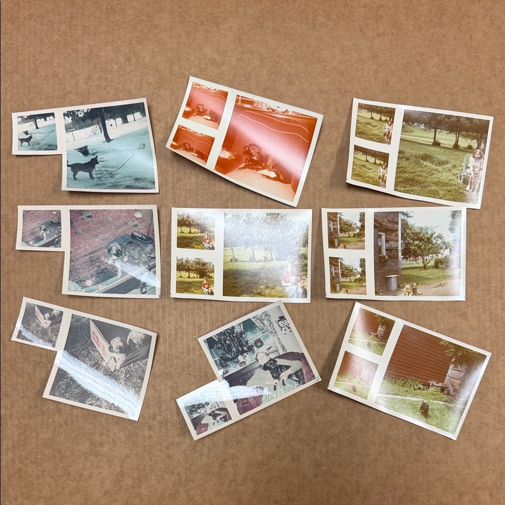 Vintage Photo Collection